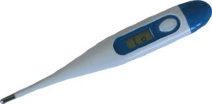 thermomètre digital flexible (DIV)