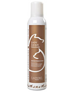 spray lady laque 300ml (LADYBEL)