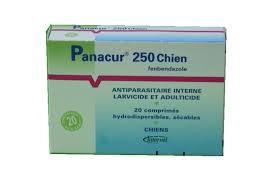 Panacur 250 20cp (MSD)