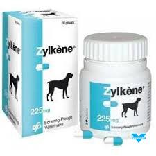 zylkene 225mg 100gélules (VETOQUINOL)