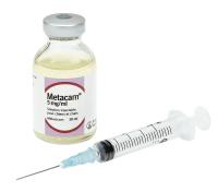 Metacam inj. 5mg 20ml (BOERHINGER)