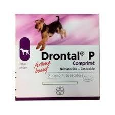 Drontal chien 2cp (BAYER)