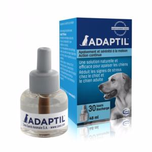 Vermifuge et allaitement - Santé du chat
