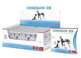 cosequin DS 300 cp (ARCANATURA)