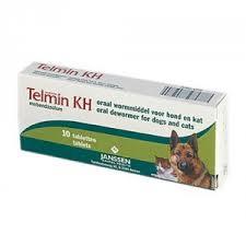 Telmin KH 10cp (LILLY)
