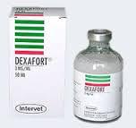 Dexafort 50ml (MSD)