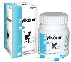 zylkene 75mg 100gélules (VETOQUINOL)