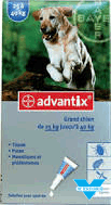 advantix grand chien 4 pipettes (BAYER)
