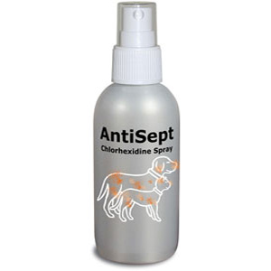 antisept 100ml (DECHRA)