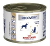 vdiet dog & cat recovery boite 195g x12 (ROYAL CANIN)