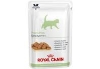 vetcare cat pediatric growth sachet 100g  x12 (ROYAL CANIN)
