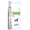 Vdiet dog urinary S/O 13kg (ROYAL CANIN)