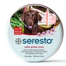 seresto grand chien (BAYER)