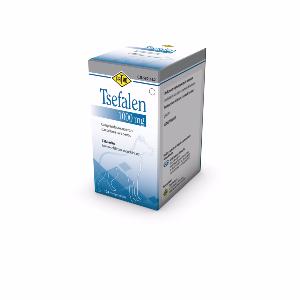 Tsefalen 1000mg 104cp (DESTAING)