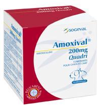 Amoxival 40mg felin 12cp (CEVA)