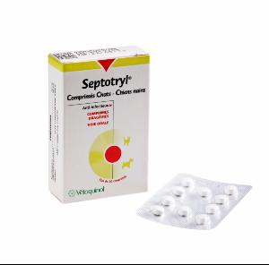 Septotryl chien 16cp (VETOQUINOL)