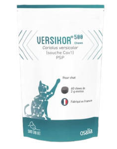 Versikor 500 chew chat 60x2g (OSALIA)