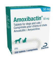Amoxibactin 50mg 250cp (DECHRA)