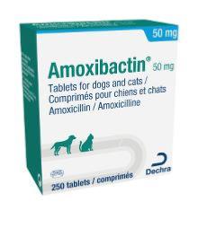 Amoxibactin 50mg 250cp (DECHRA)