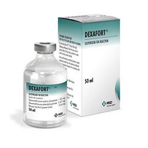 Dexafort 50ml (MSD)