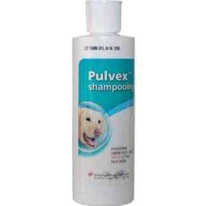 pulvex shampoing 200ml (MSD)