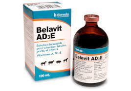 Belavit 100ml (BIMEDA)