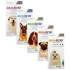 Bravecto spot chien 1000mg 1p (MSD)