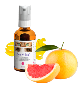 zen miloa 50ml (MILOA)