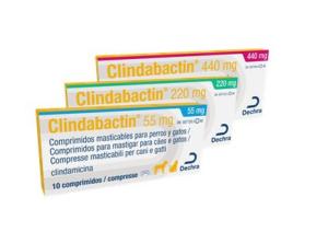 Clindabactin 440mg 10cp (DECHRA)