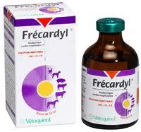 Frecardyl 50ml (VETOQUINOL)