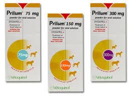 Prilium grand chien 300mg (VETOQUINOL)