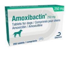 Amoxibactin 250mg 250cp (DECHRA)