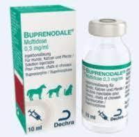 Buprenodale inj 10ml (DECHRA)