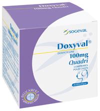 Doxyval  100mg 10cp (SOGEVAL)