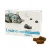 Lysine tvm 30x2g (TVM)
