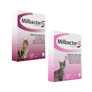 Milbactor chaton 48cp (CEVA)