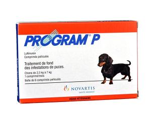 program P 6cp (NOVARTIS)