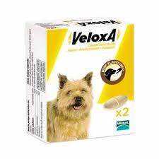 Veloxa chien 2cp (MERIAL)