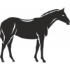 adhésif cheval N&B 100cm