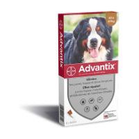 advantix très grand chien 4 pipettes (BAYER)