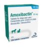 Amoxibactin 50mg 250cp (DECHRA)