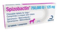 Spizobactin 125mg 10cp (DECHRA)