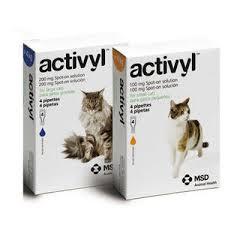 activyl chat 4p (MSD)