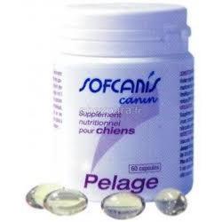 Sofcanis pelage chien 60 capsules (MOUREAU)