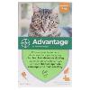 advantage chat 40 4 pipettes (BAYER)