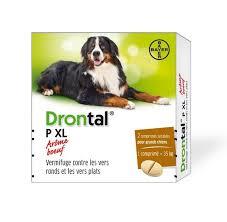 Drontal XL 2cp (BAYER)