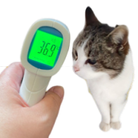 Thermomètre Infra rouge (DIV)*