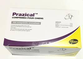 Prazical 104cp (ZOETIS)