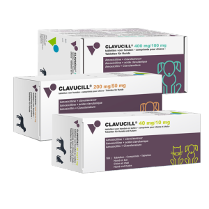 Clavucill 200mg 100cp (BIOVE)