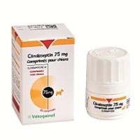 Clindaseptin 300mg 20cp (VETOQUINOL)